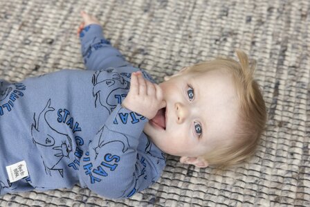 F6-48-26-7E-1C-BA-D5-B6-3D-32-C2-C3-23-2A-CE-E9