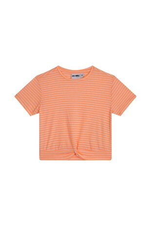 44-3D-85-E5-A4-D1-85-28-58-3B-89-86-2B-2A-F9-B6