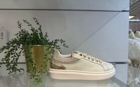 SNEAKER GOUD